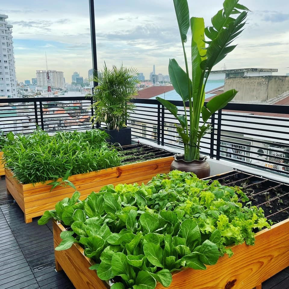 Nam ca sĩ lắp các hệ thống tưới nước tự động để tưới tiêu cho khu vườn.