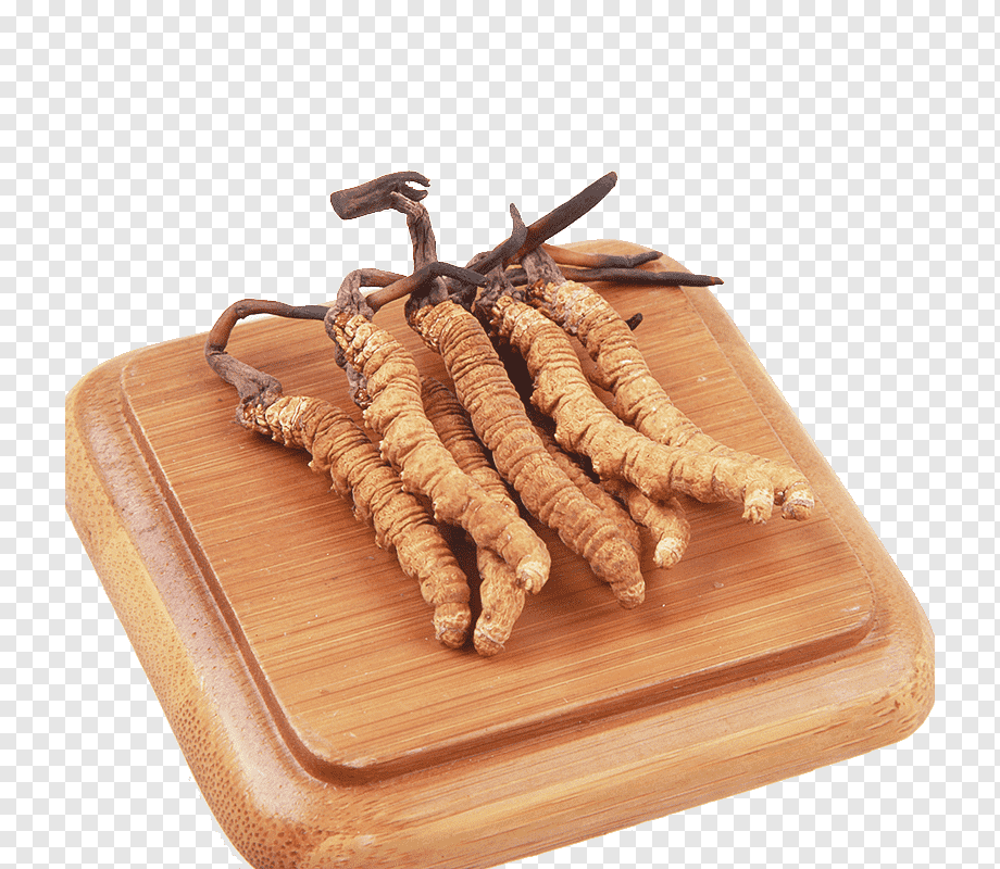 Đông trùng hạ thảo Tây Tạng tự nhiên nằm ở những vùng núi cao từ 3000-5000 mét so với mặt nước biển. Nhiệt độ trung bình ở đây rất thấp, chỉ từ 0 đến 3 độ C. Ảnh: PNGWing