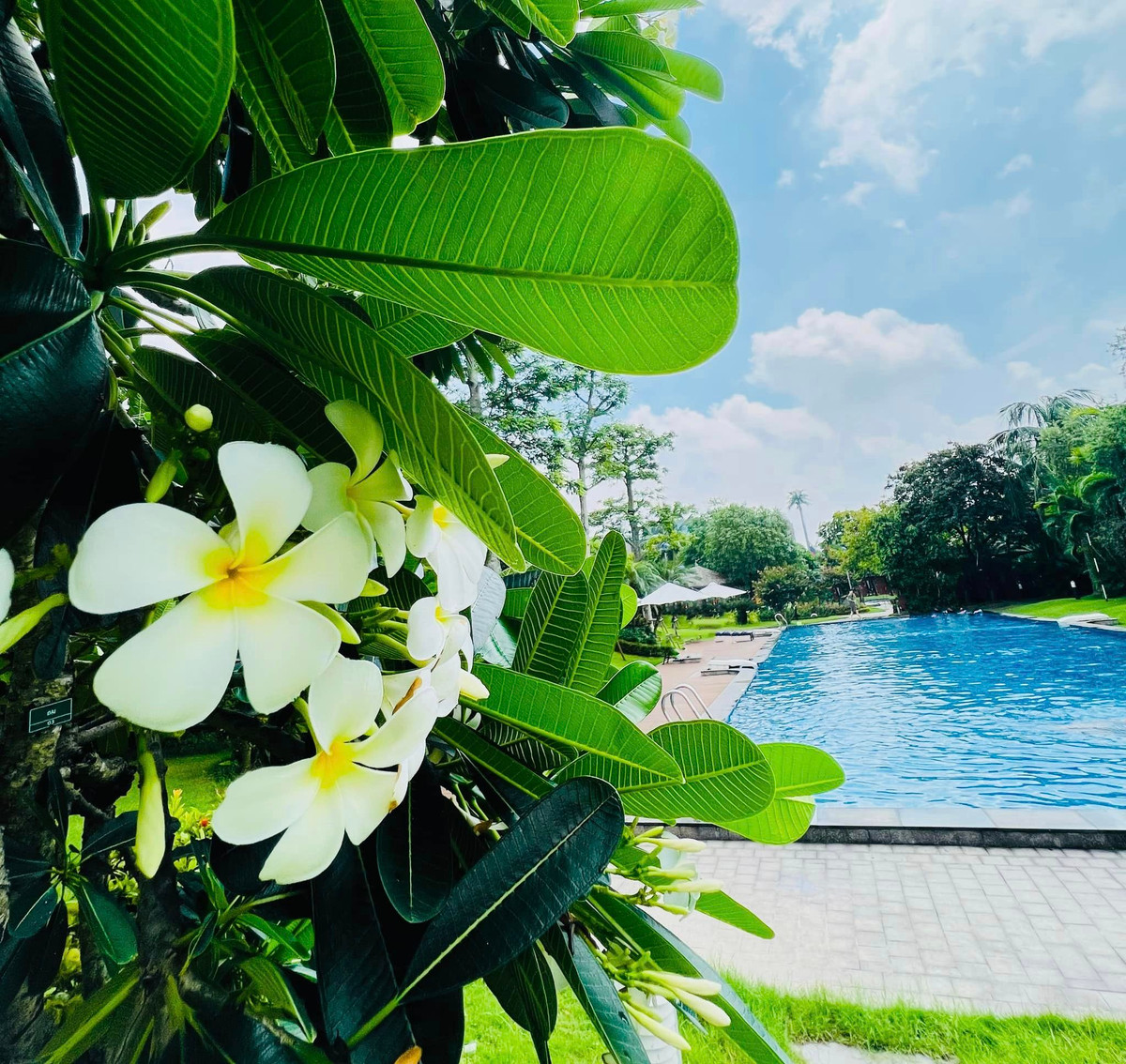 Tuy nhiên, người đẹp cho biết đây là bể bơi trong khu nhà mình. Ảnh: FBNV