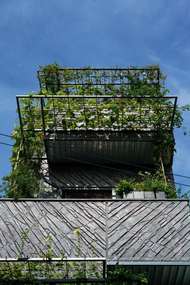 Falls House lấy ý tưởng từ không gian hùng vĩ của thác Pongou (Đà Lạt)- một thác nước hoàn toàn tự nhiên nhưng có những đường nét vuông vắn đến mức trông như là nhân tạo. Theo đó, mặt tiền như thác nước vừa độc lạ vừa đẹp mắt.