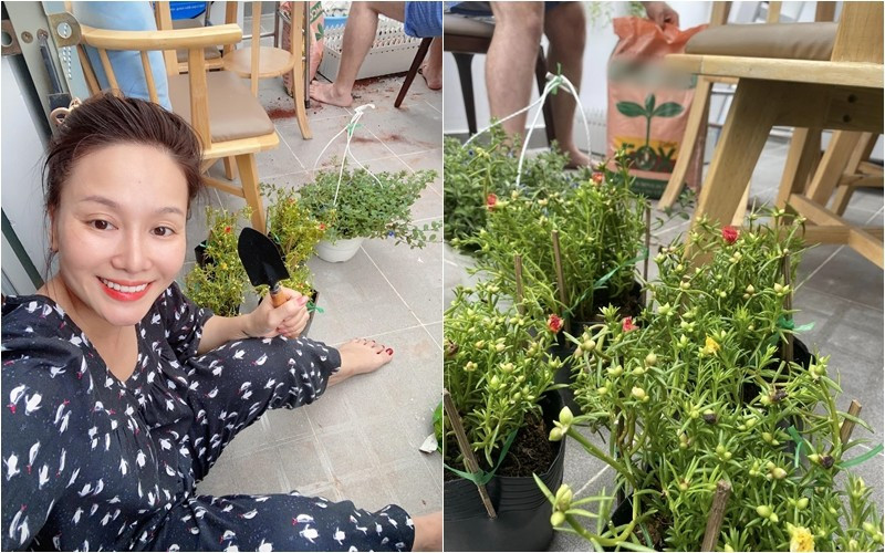 Nữ ca sĩ trồng nhiều loại hoa khác nhau.