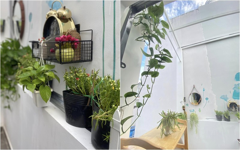 Thu Phượng thích thú khi có góc ngồi nhâm nhi cà phê mỗi sáng. Nguồn ảnh: FBNV