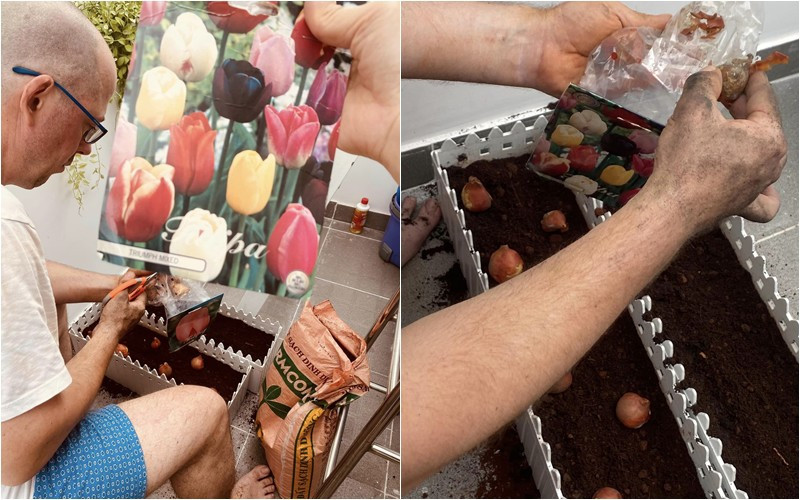 Ông xã ngoại quốc của Thu Phượng còn tự tay trồng hoa tulip mang từ Hà Lan về.