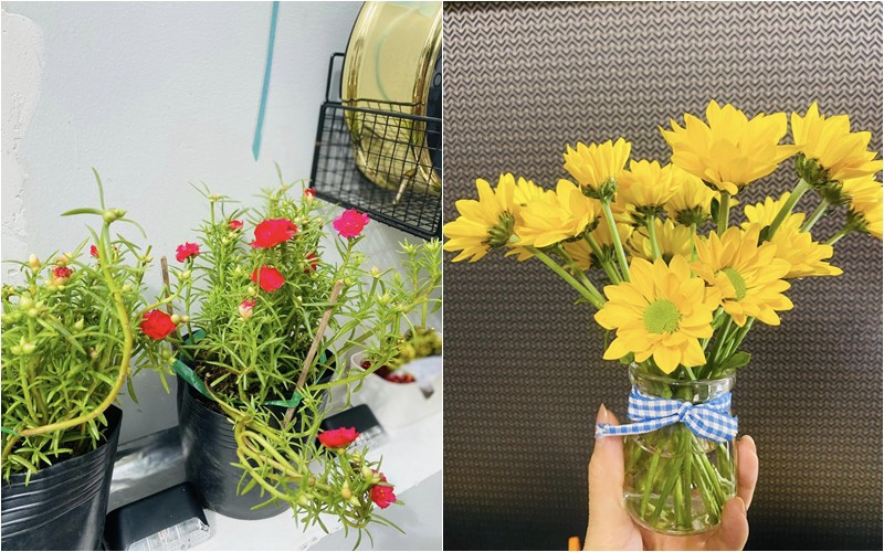 Nữ ca sĩ tiết lộ nhà mới xinh xắn, ngập tràn hoa lá.