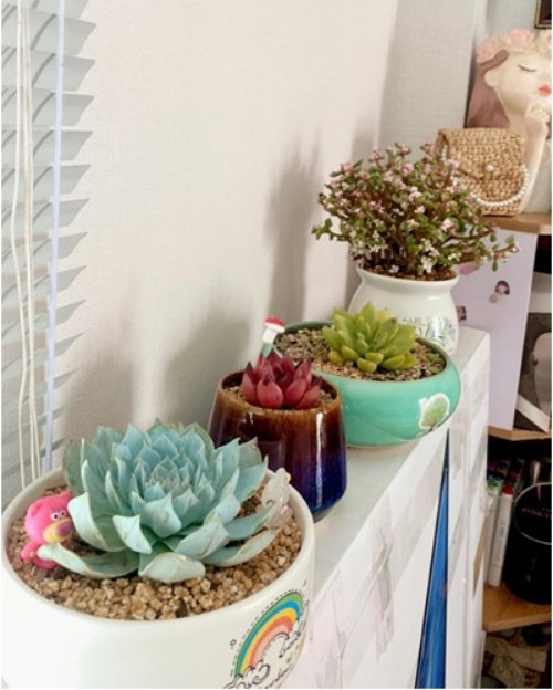 Từng góc trong nhà đều được trang trí tỉ mỉ.