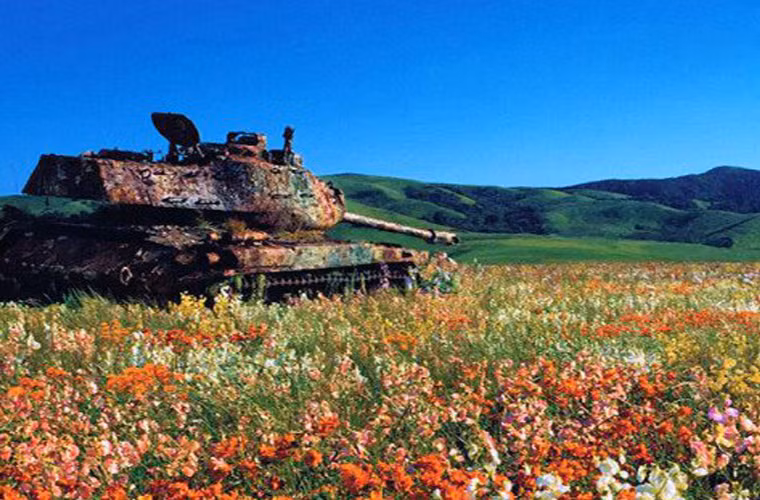 Một chiếc tăng M41 bị bỏ lại giữa một thảo nguyên đầy hoa.