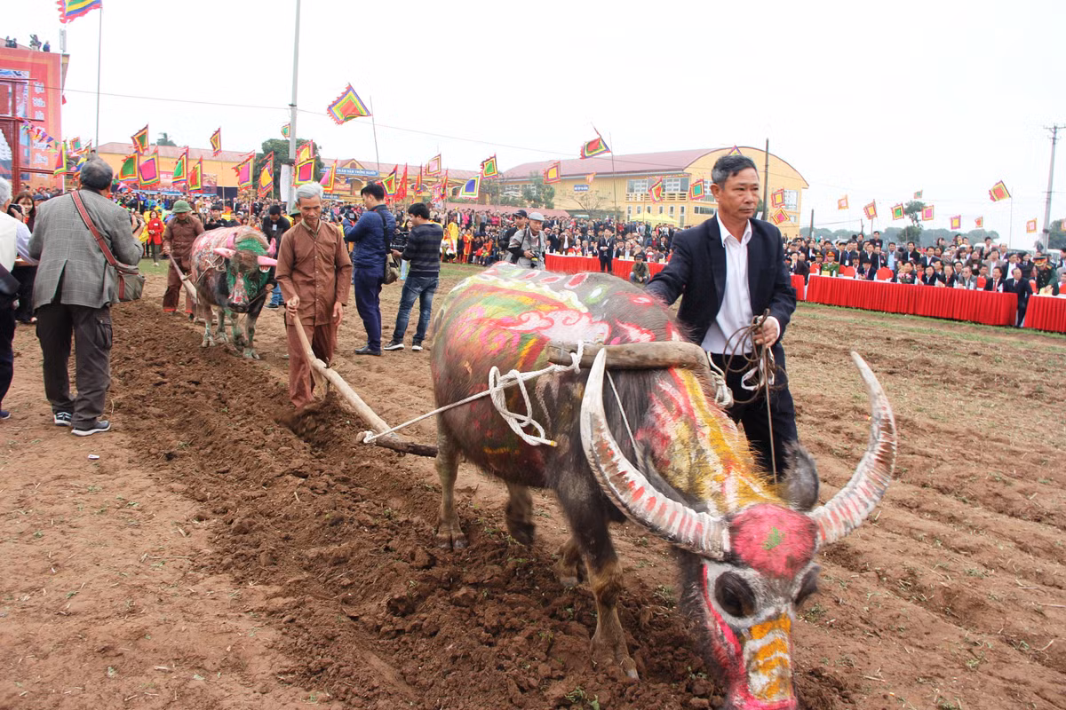 Nghi lễ cày tịch điền đã tái hiện hình ảnh vua Lê Đại Hành bước lên lễ đài khấn cáo vua Lê và Thần Nông, sau đó lão nông này đội mũ Cửu Long, mặc áo Hoàng bào xuống ruộng đi cày,