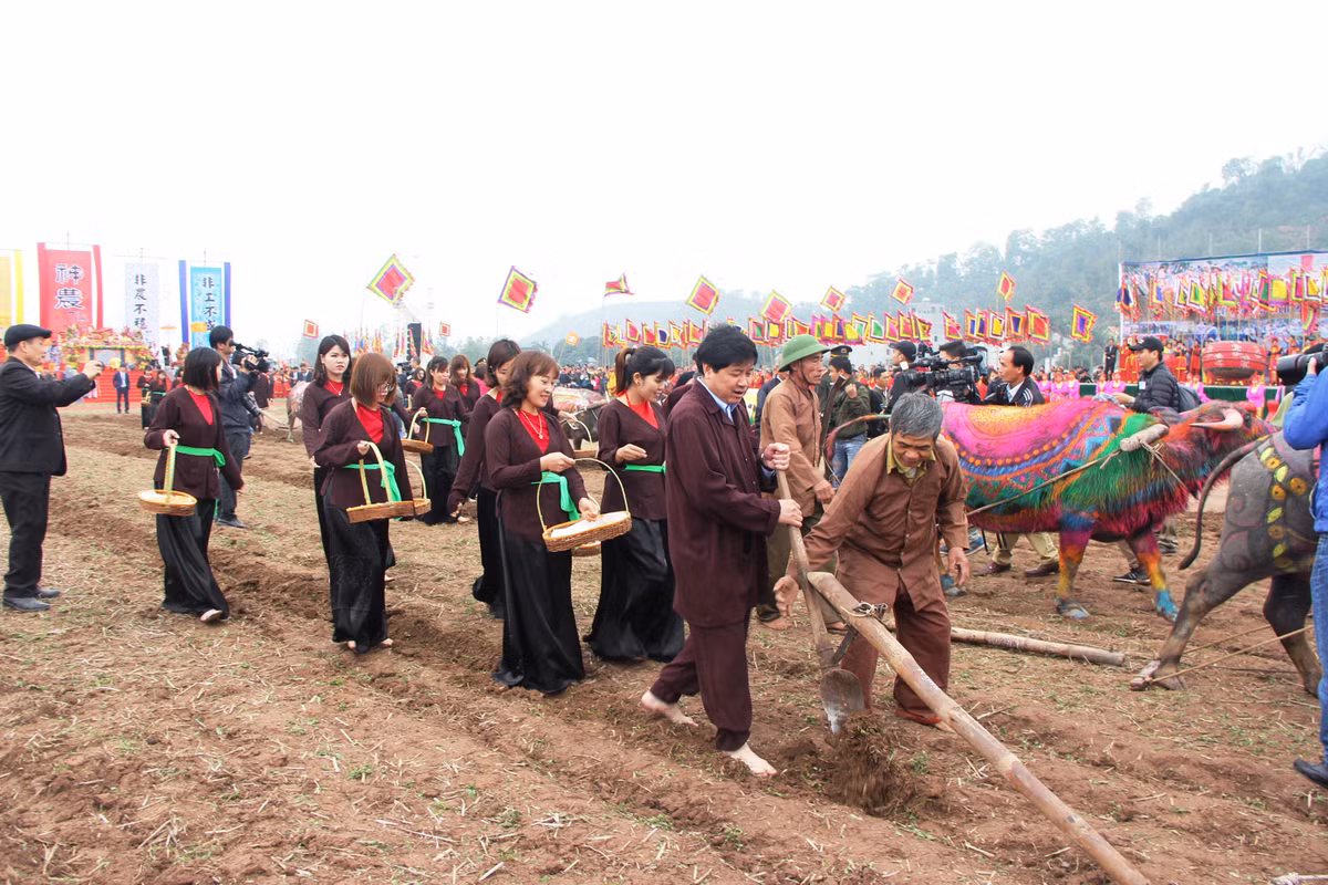 Sau khi vua cày xong, các vị lãnh đạo địa phương và các lão nông xuống cày.