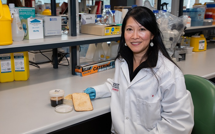 Vat lieu chong chay tu soi nam