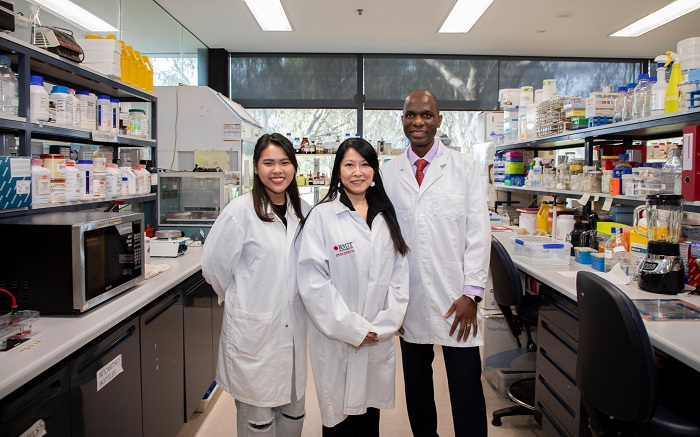 Vat lieu chong chay tu soi nam-Hinh-3