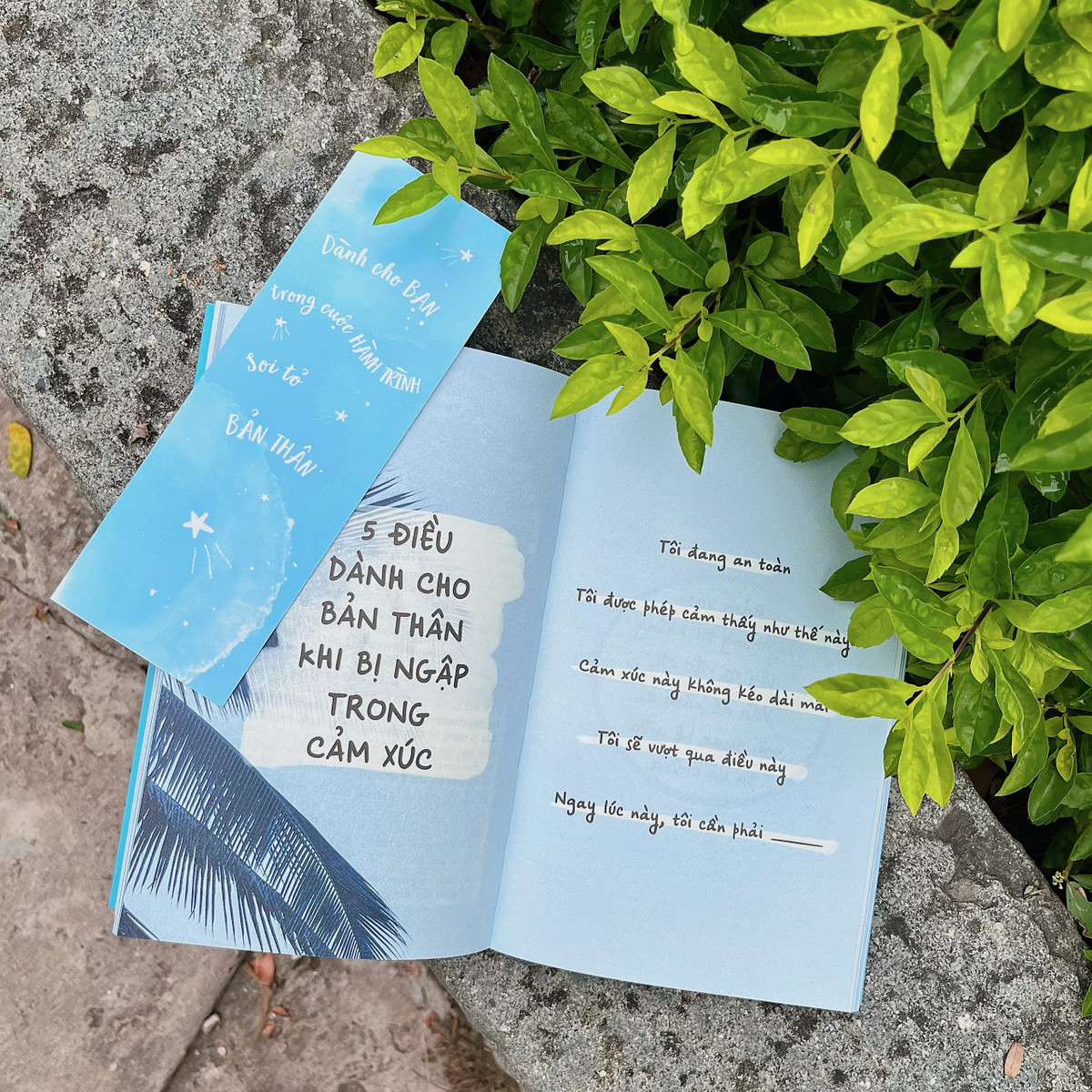 Cuốn sách của Amber Rae đặc biệt nổi tiếng với cộng đồng teen nước ngoài. 108 chủ đề được bàn luận đều rất thiết thực, gần gũi nhất là trong giai đoạn nhân loại chịu nhiều tổn thất sau đại dịch Covid như: cách điều khiển những cảm xúc tiêu cực, cách lắng nghe tâm trí và thân thể mình, cách đặt ra lằn ranh cho bản thân, cách để ngừng trì hoãn và thực hiện những điều mình yêu thích …