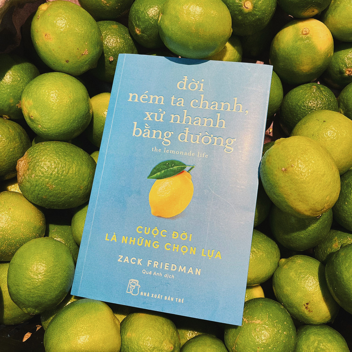 Đời ném ta chanh, xử nhanh bằng đường - Cuộc đời: Câu hỏi đặt ra trong cuốn sách là vì sao ta làm việc chăm chỉ, có tài năng, có kỹ năng nhưng chưa đạt được điều mình mong muốn? Mỗi cá nhân có biết mình mong muốn gì thật sự chưa, và đâu là cơ sở để lựa chọn?