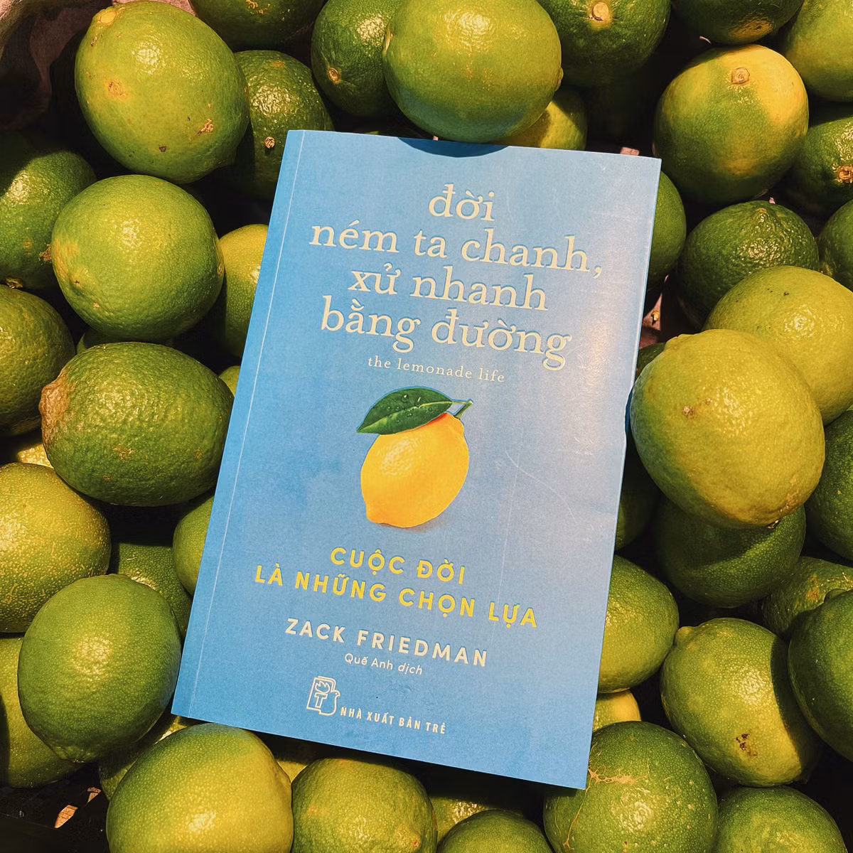 Đời ném ta chanh, xử nhanh bằng đường - Cuộc đời: Câu hỏi đặt ra trong cuốn sách là vì sao ta làm việc chăm chỉ, có tài năng, có kỹ năng nhưng chưa đạt được điều mình mong muốn? Mỗi cá nhân có biết mình mong muốn gì thật sự chưa, và đâu là cơ sở để lựa chọn?