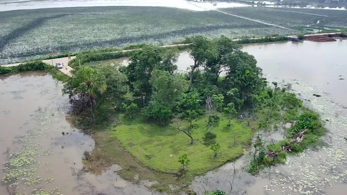 Nhìn từ trên cao, quần thể lộc vừng giờ chỉ còn lác đác những thân cây nhỏ. Ảnh: Tuấn Trung 