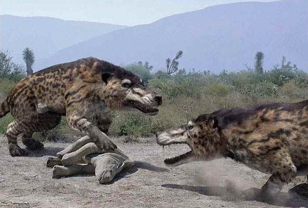 Động vật có vú ăn thịt Andrewsarchus: Có cân nặng tới 1.800kg, cùng tính khí hung dữ của loài săn mồi, chúng là những sinh vật đáng sợ nếu được hồi sinh.