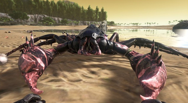 Bọ cạp Pulmonoscorpius: Loài bọ cạp này có cấu tạo cơ thể không khác mấy so với bọ cạp hiện tại, ngoại trừ phần đầu hơi dị với hai càng và có chiều dài hơn 1 mét.