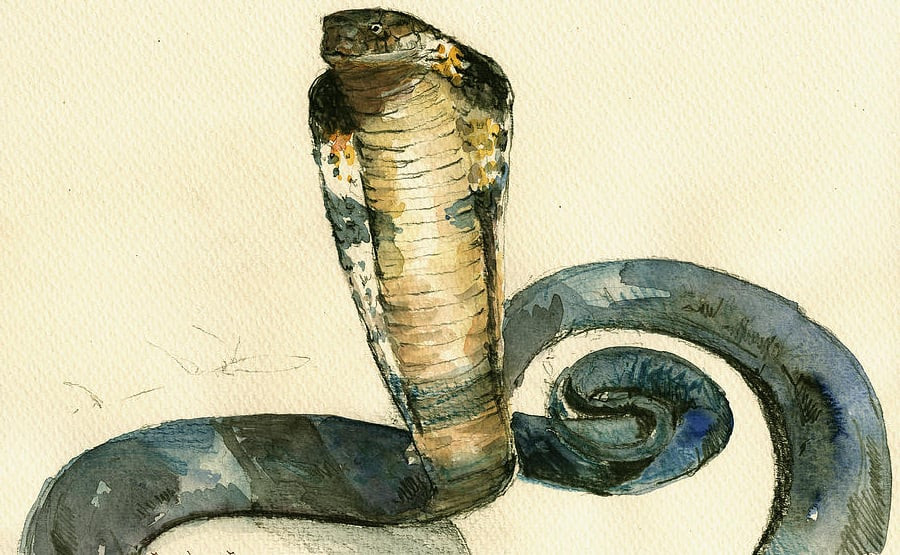 Tuổi Tỵ không phải người sống ích kỷ. Họ luôn cố gắng suy nghĩ cho người khác. Đôi khi họ cũng sẽ chịu thiệt một chút để cục diện được yên ổn. Sự hy sinh thầm lặng của tuổi Tỵ không phải ai cũng biết được.