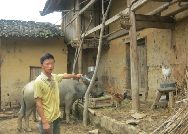 Theo hồ sơ vụ án, vào khoảng 1h ngày 27/2/2007, một nhóm đối tượng lạ mặt đã lẻn vào bao vây xung quanh nhà anh Vàng Mí Xay. Phát hiện gia đình anh Xay đã ngủ, với hung khí đã được chuẩn bị từ trước, chúng đạp cửa, xông thẳng vào nhà. Trong tích tắc, những kẻ lạ mặt đã chém tử vong chị Sùng Thị Chúa, 28 tuổi (vợ anh Xay). Nghe thấy tiếng động, bà Thào Thị Say (mẹ anh Xay) đi ra kiểm tra cũng đánh tới bất tỉnh. Tiếp đó, nhóm đối tượng khống chế và bắt đi anh Vàng Mí Xay và 3 cậu con trai: Vàng Mí L, 3 tuổi; Vàng Mí T, 1 tuổi và nhỏ nhất là cháu Vàng Mí L, khi đó mới vừa tròn 8 tháng tuổi. (Ngôi nhà nơi xảy ra vụ án)