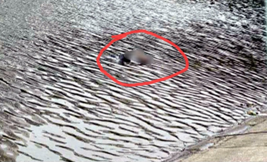 Hé lộ nguyên nhân vụ nam thanh niên tử vong ở hồ Linh Đàm He lo nguyen nhan vu nam thanh nien tu vong o ho Linh Dam