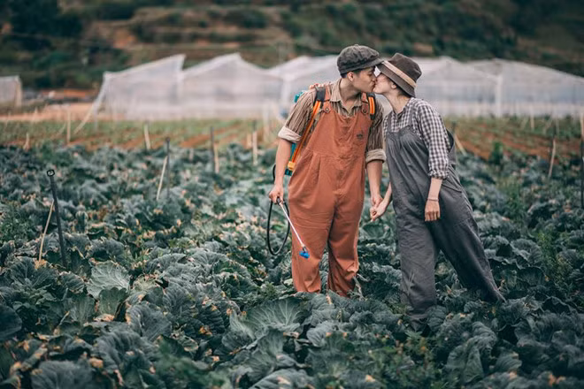 Cô gái sinh năm 1993 chia sẻ những khoảnh khắc hạnh phúc được thực hiện trong thời gian gần 2 tiếng tại cánh đồng cải bắp nằm dưới đồi Thiên Phúc Đức, cách trung tâm thành phố Đà Lạt khoảng 7 km. Cô vui và bất ngờ khi bộ ảnh cưới được nhiều người quan tâm, chúc phúc.