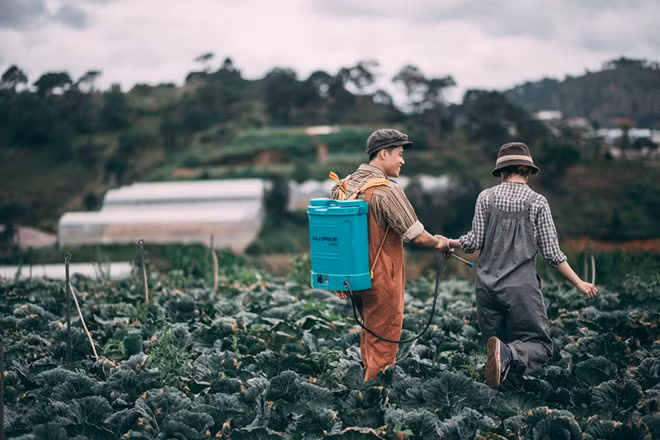 Trong trang phục của những người nông dân, tông màu vintage lạnh chủ đạo khá đơn giản nhưng vẫn toát lên tình yêu nồng nàn. Ngày 20/8, đôi Xuân Tươi và Anh Vũ sẽ chính thức về chung một nhà.