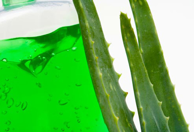 Điều trị các vết bỏng nắng đúng cách: Bỏng nắng là khi da bạn bị kích ứng do ánh nắng mặt trời. Hãy làm dịu da bằng khăn ướt lạnh hoặc đá lạnh, sau đó sử dụng các loại thuốc và kem để dưỡng ẩm. Ngoài ra, nha đam cũng có tác dụng vô cùng tuyệt vời trong việc chữa bỏng nắng.