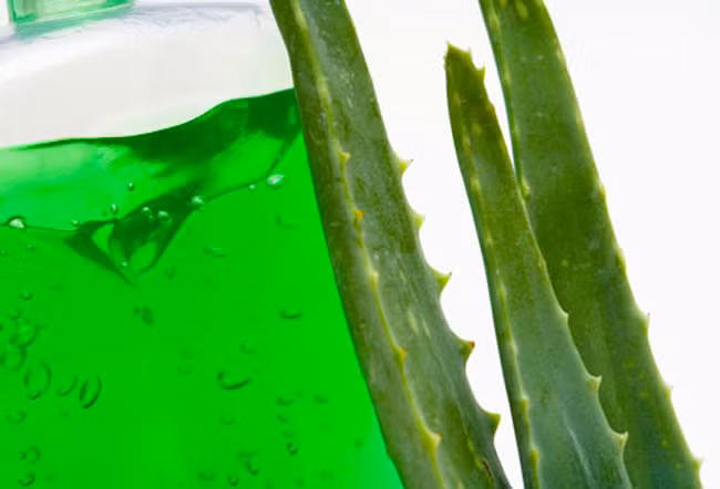 Điều trị các vết bỏng nắng đúng cách: Bỏng nắng là khi da bạn bị kích ứng do ánh nắng mặt trời. Hãy làm dịu da bằng khăn ướt lạnh hoặc đá lạnh, sau đó sử dụng các loại thuốc và kem để dưỡng ẩm. Ngoài ra, nha đam cũng có tác dụng vô cùng tuyệt vời trong việc chữa bỏng nắng.