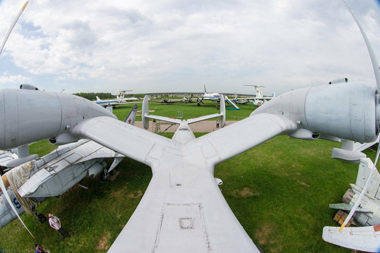 Be-12 có cấu tạo cánh giống hình cánh chim hải âu và đuôi có dạng 3 nhánh (phần đuôi kéo dài ra, có 2 cánh đuôi xếp thẳng đứng, đối xứng). Kết cấu trên giúp máy bay có thể bay lượn dễ dàng đặc biệt là trong điều kiện hoạt động trên biển tương tự như loài hải âu - một loài chim biển. Nguồn ảnh: Airliners.net