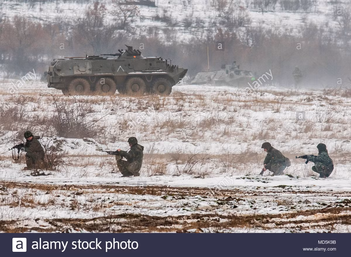 Các điểm yếu cố hữu của nó là không thể thay đổi, ví dụ như cửa đổ quân nằm ở hai bên hông sẽ không che chắn tốt cho binh sĩ khi ra khỏi xe trên chiến trường. Nguồn ảnh: alamy