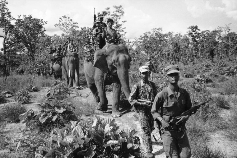 Ở các quốc gia Đông Nam Á, voi tiếp tục được sử dụng trong quân đội một số nước cho đến đầu thế kỷ 20. Ở những khu vực nhiều đồi núi và không có đường bộ, voi trở thành phương tiện vận chuyển con người và vũ khí hiệu quả nhất. Ảnh: Warspot.