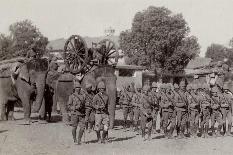 Vai trò của những con voi chiến lúc này giống như những chiếc xe tải hạng nặng trên chiến trường. Chúng có thể chở gần như mọi thứ trong khả năng cho phép. Ảnh: Warspot.