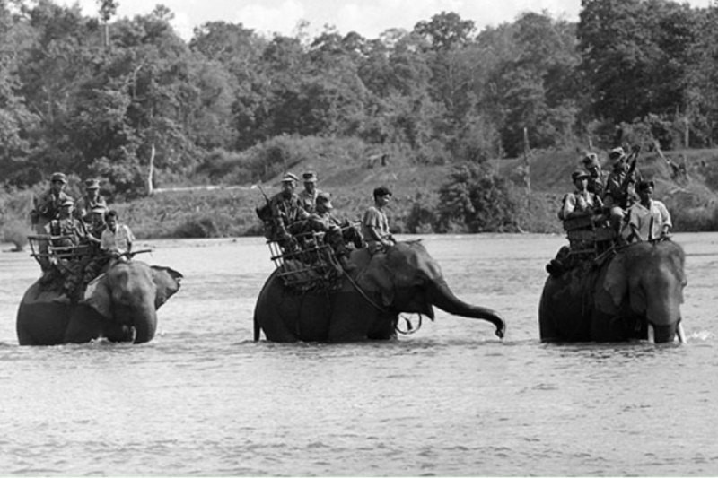 Dù sở hữu thân hình to lớn, nhưng voi có thể dễ dàng chở theo 4-5 người lội và bơi qua sông. Ảnh: Warspot.