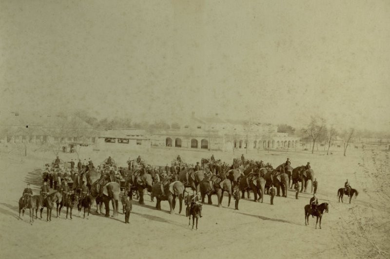 Với sự phát triển của súng hỏa mai vào đầu thế kỷ 15, vai trò của voi được chuyển đổi thành phương tiện chở vũ khí, một số trường hợp lắp súng máy hạng nặng trên lưng voi để chiến đấu, biến chúng trở thành những chiếc xe tăng "sống" trên chiến trường.. Ảnh: Warspot.