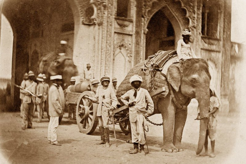 Những con voi tuy không nhanh như ngựa nhưng chúng lại có sức mạnh vô địch. Chúng có thể kéo theo hàng tấn hàng hóa, vật tư chiến tranh, lương thực và nhiều vật dụng khác. Ảnh: Warspot.