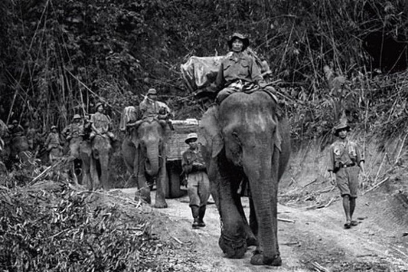 Những năm Kháng chiến chống Mỹ, voi là phương tiện vận chuyển hàng hóa, vũ khí chủ lực của Quân đội Nhân dân Việt Nam ở những khu vực mà xe cơ giới không tiếp cận được. Ảnh: Warspot.