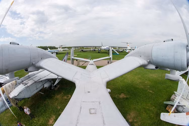 Cánh của Be-12 trông rất độc đáo với hình dạng cánh chim hải âu và đuôi có dạng 3 nhánh (phần đuôi kéo dài ra, có 2 cánh đuôi xếp thẳng đứng, đối xứng). Nguồn ảnh: ER