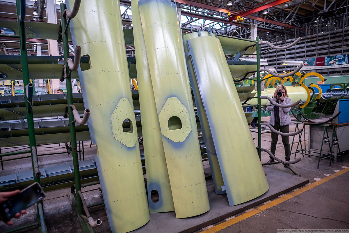 Đây có thể là phần vỏ liên quan tới đuôi máy bay. Nguồn ảnh: Marina Lystsev