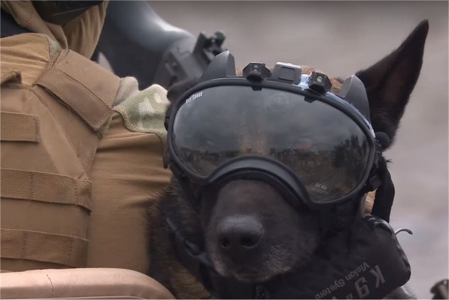 Camera quan sát K9 ngụy trang dưới dạng một chiếc kính cho chó nghiệp vụ. Camera tích hợp có thể tự động ghi lại các hình ảnh, âm thanh và truyền về cho đơn vị ta cách tới 300m. Nguồn ảnh: Army Recognition