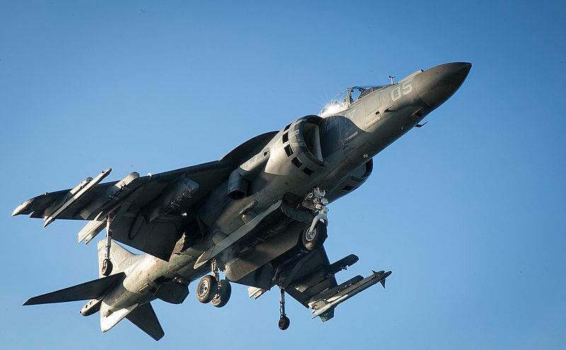 Vũ khí máy bay cũng không mang được nhiều với chỉ 4,2 tấn vũ khí trên 6 điểm cánh. Ở dưới thân có thể lắp một pod pháo 25mm 5 nòng với 300 viên đạn. Máy bay không được tích hợp pháo trong thân. Nguồn ảnh: Wikipedia