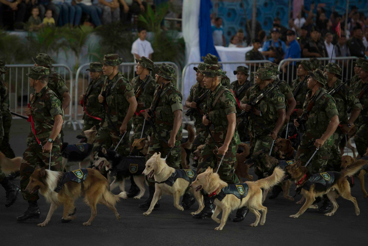 Hàng nghìn binh sĩ và hàng trăm đơn vị vũ khí khí tài đã được huy động. Ảnh: dambiev