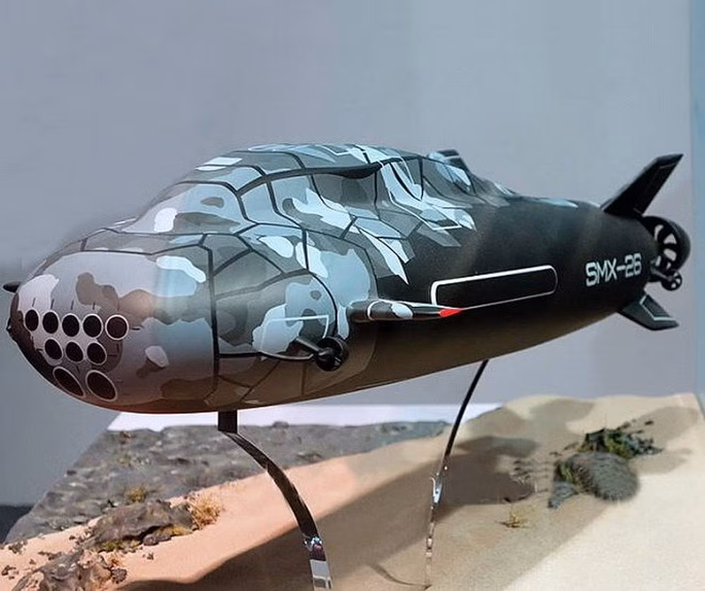 Hoặc thậm chí, có thể lựa chọn việc trang bị một lực lượng tàu ngầm bỏ túi với quân số đông đảo cũng sẽ khiến mọi đối phương phải "run sợ" khi nghĩ tới chuyện xâm nhập vào vùng biển của quốc gia này. Nguồn ảnh: Naval.