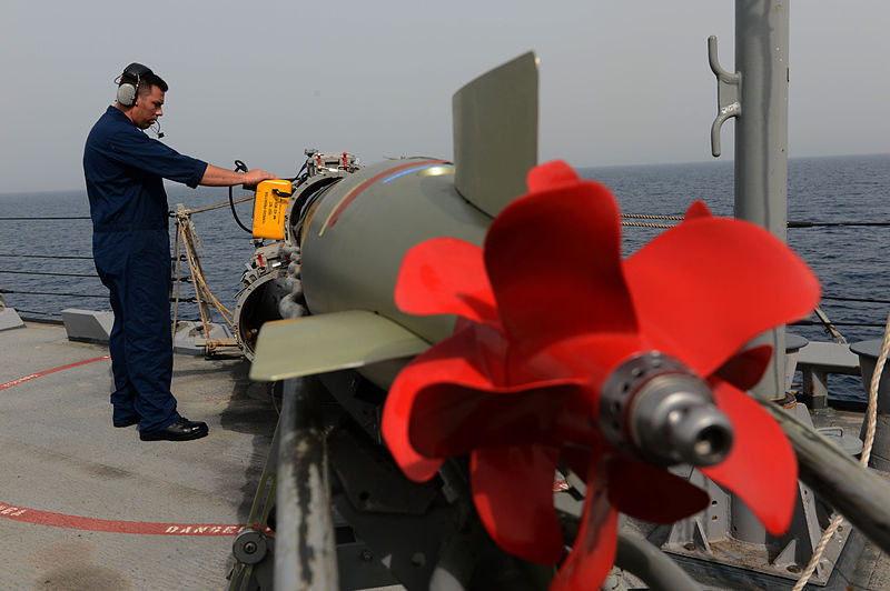 Bệ phóng Mk 32 có thể sử dụng nhiều loại ngư lôi đường kính 324mm gồm: Mk 44 (loại này đã không còn được sử dụng), Mk 46, Mk50 và Mk54 đều do Mỹ sản xuất. Hiện không rõ liệu Hàn Quốc có giúp cho Việt Nam một ít ngư lôi loại này hay không, hoặc là chúng ta liệu có khả năng sẽ mua ngư lôi Mk từ Mỹ không? Nguồn ảnh: Wikipedia