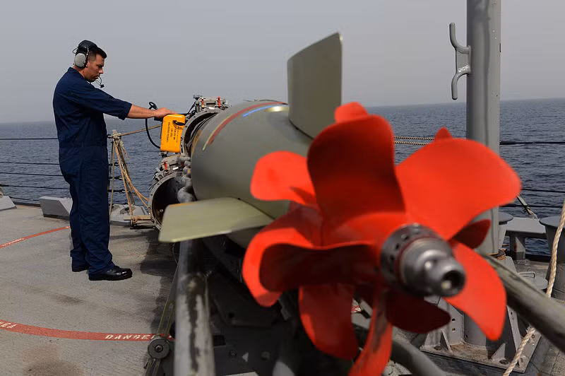 Bệ phóng Mk 32 có thể sử dụng nhiều loại ngư lôi đường kính 324mm gồm: Mk 44 (loại này đã không còn được sử dụng), Mk 46, Mk50 và Mk54 đều do Mỹ sản xuất. Hiện không rõ liệu Hàn Quốc có giúp cho Việt Nam một ít ngư lôi loại này hay không, hoặc là chúng ta liệu có khả năng sẽ mua ngư lôi Mk từ Mỹ không? Nguồn ảnh: Wikipedia