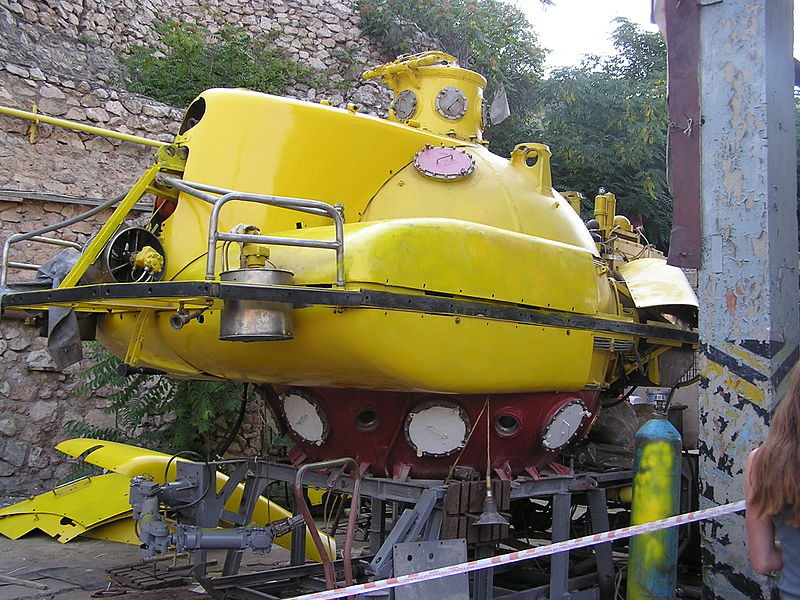 Theo các nguồn tin, Liên Xô từng huấn luyện cả cá heo để đề phòng các âm mưu phá hoại căn cứ. Nguồn ảnh: Wikipedia