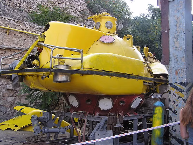 Theo các nguồn tin, Liên Xô từng huấn luyện cả cá heo để đề phòng các âm mưu phá hoại căn cứ. Nguồn ảnh: Wikipedia