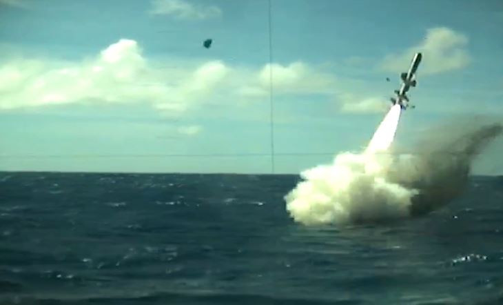 Ngoài ra, Type 214 có khả năng triển khai đến 4 tên lửa hành trình chống hạm UGM-84 Harpoon.