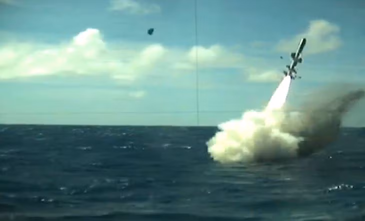 Ngoài ra, Type 214 có khả năng triển khai đến 4 tên lửa hành trình chống hạm UGM-84 Harpoon.