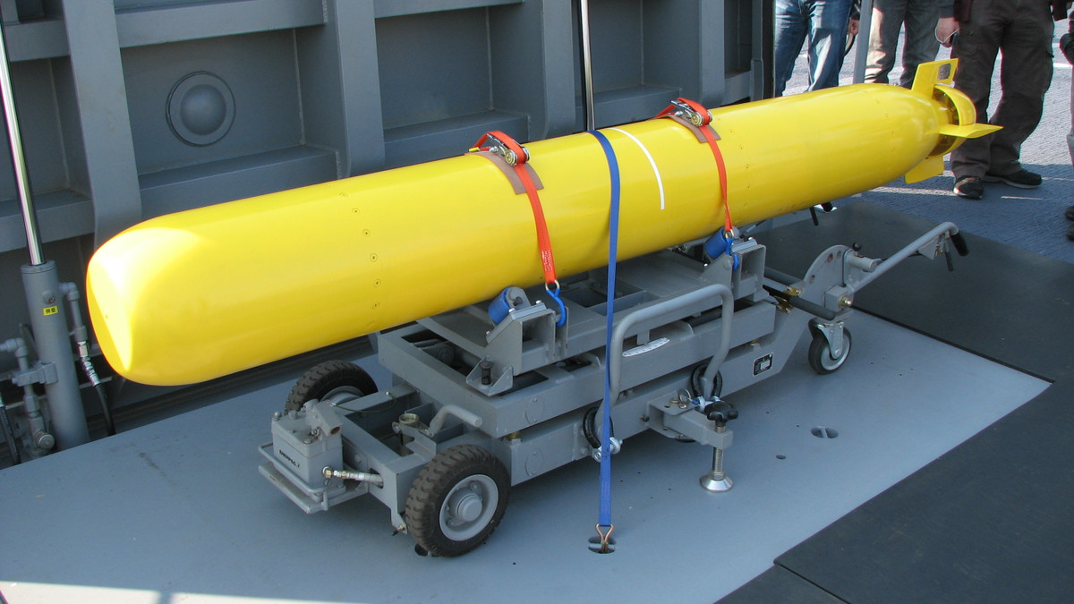 Với tải trọng cực lớn, P-1 có thể thoái mái triển khai kết hợp tên lửa - ngư lôi - phao thủy âm - bom chìm chống ngầm phục vụ tác chiến với mọi loại mục tiêu. Trong vai trò chống ngầm, P-1 có khả năng mang ngư lôi 324mm Mk 46 hoặc Type 97 và thủy lôi, bom chìm. Nguồn ảnh: Wikipedia