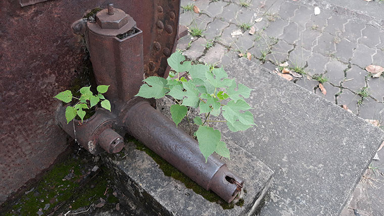 Chân bệ pháo vẫn trường tồn theo thời gian giữ cho khẩu đại bác luôn hướng lên trời cao.