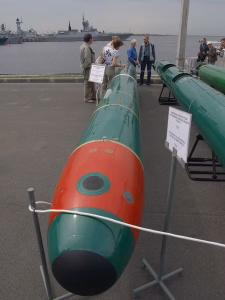 Ví dụ về loại TEST-71, được thiết kế để tiêu diệt các loại tàu ngầm và tàu mặt nước ở cự ly tối đa tới 20.000m, xuyên sâu xuống mặt nước 1.000-1.500m - đủ khả năng lôi cổ bất cứ tàu ngầm lặn sâu nào lên mặt nước. Phiên bản sử dụng cho tàu mặt nước định danh là TEST-71M-NK dài 7,93m, nặng 1,8 tấn, trang bị đầu nổ 205kg, tốc độ tối đa 40 hải lý/h. Ảnh: deagel